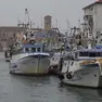 La flotta dei pescherecci di Chioggia