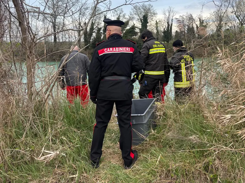 Il luogo del ritrovamento (foto Bortoluzzi)