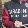 Il blitz dei carabinieri