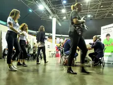 Il Veneto è tra le regioni con il maggior numero di giovani in fuga