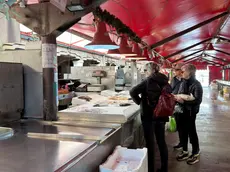 Mercato ittico di Chioggia