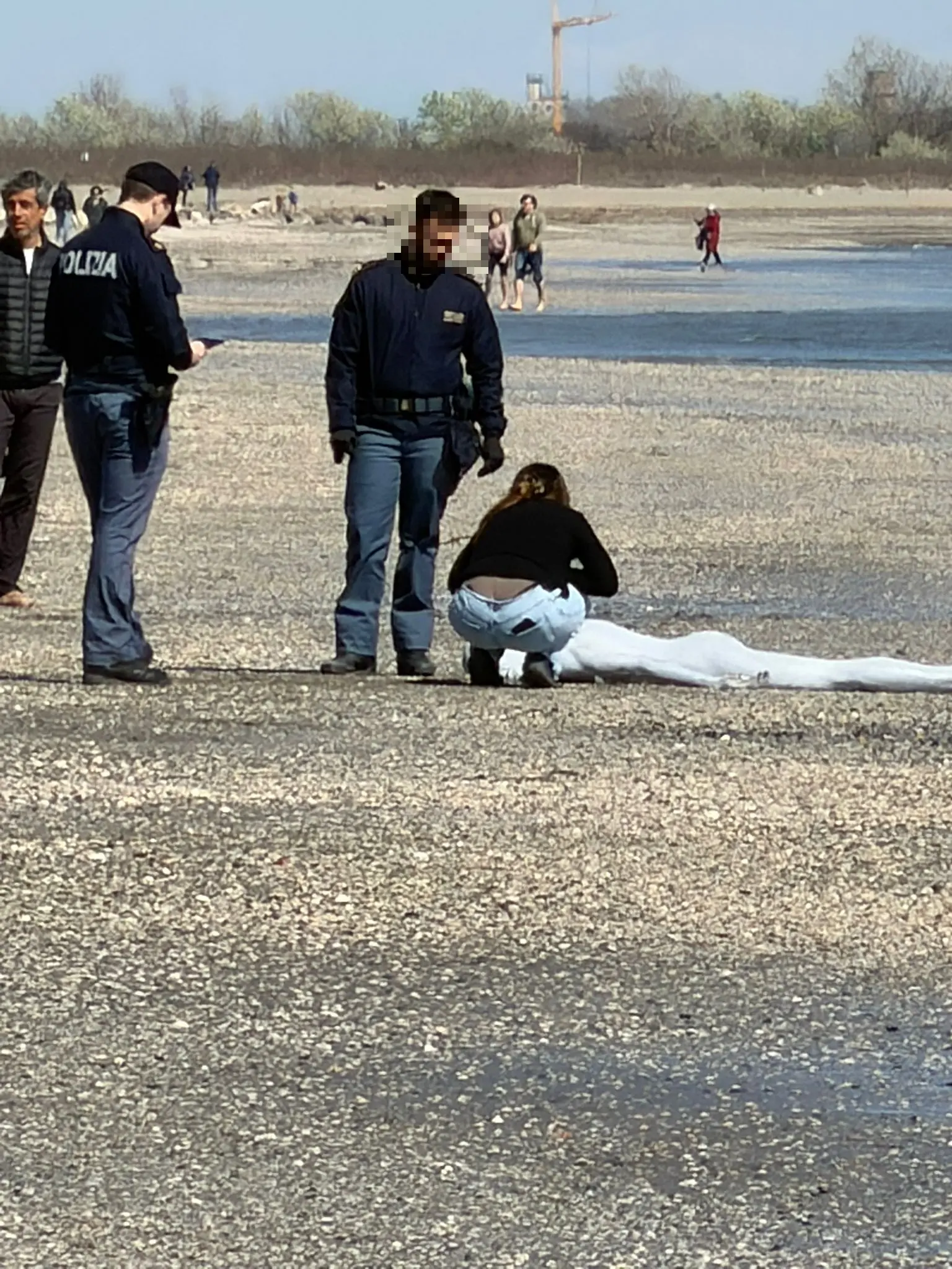 L'uomo nudo e coperto di vernice bianca disteso sulla spiaggia al Lido