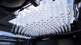 L’interno del Technology Excellence Center di Stevanato a PIombino Dese