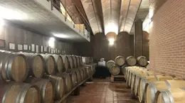 Il settore del vino sta vivendo un momento difficile a Nordest
