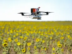 Un drone. A Venezia il giallo delle minacce russe a un'azienda che li realizza