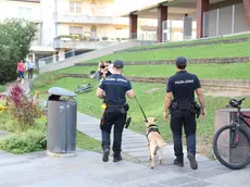Controlli al parco Agorà