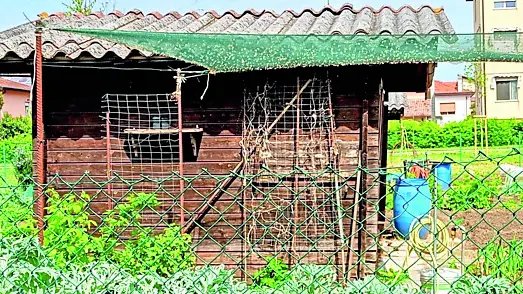 Le rimesse ammalorate degli orti sociali di Campalto