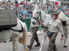 La 94esima adunata nazionale degli alpini a Udine