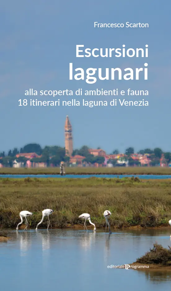 La copertina del volume