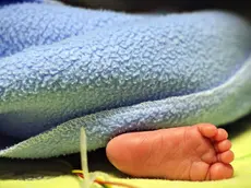 Padova, neonato stava per soffocare: salvato al telefono da un operatore del 118