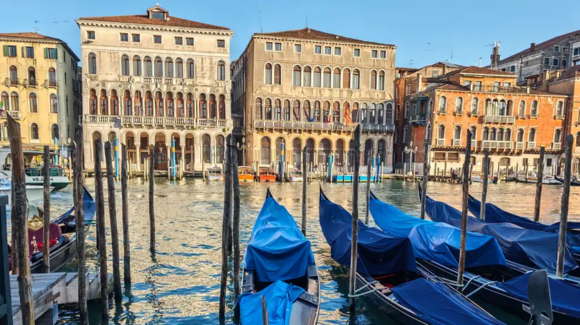 Ca' Farsetti: in otto candidati in corsa per la guida della città capoluogo
