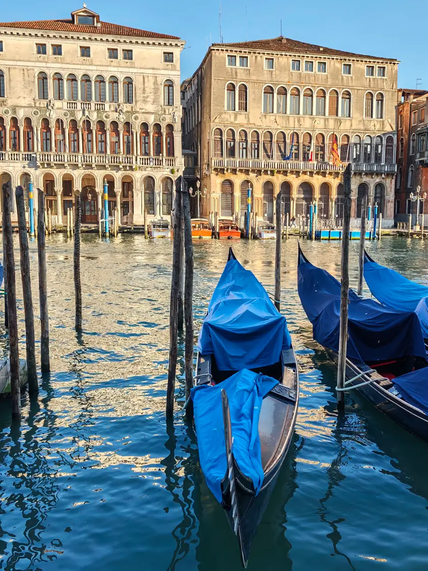 Ca' Farsetti: in otto candidati in corsa per la guida della città capoluogo