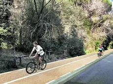 Aggressione in pineta a Jesolo