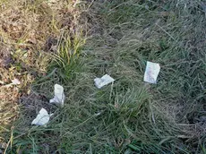 Buste di topicida in un giardino. Ad Arino l'amara sorpresa per un residente