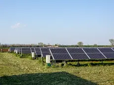Un impianto di agrivoltaico