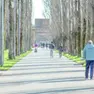 Il parco Bissuola