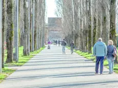 Il parco Bissuola