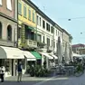 Il gatto picchiato in via Martin Luther King
