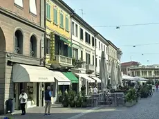 Il gatto picchiato in via Martin Luther King
