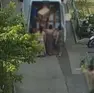 La banda che ha eseguito il furto aveva base a Milano