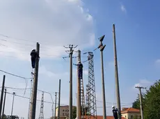 Tecnici di Enel Distribuzione al lavoro