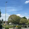 L'elisoccorso atterrato a Motta di Livenza