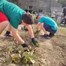 Ragazzi e operatori al lavoro a Ortolab dove sono state rubate le piantine di insalata