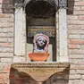 La Madonna dei Residenti in campo San Boldo (Foto Interpress)