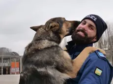 Il cane antidroga Kuma con il suo conduttore Enrico D'Agostino