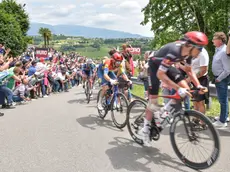Il passaggio sul muro di Ca' del Poggio in una precedente edizione del Giro