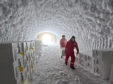 Una campagna antartica che ha coinvolto ricercatori veneziani