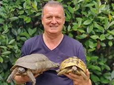 L'allevatore di tartarughe Renato Gobbetto