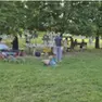 Il parco di Cadoneghe dove è avvenuto il furto