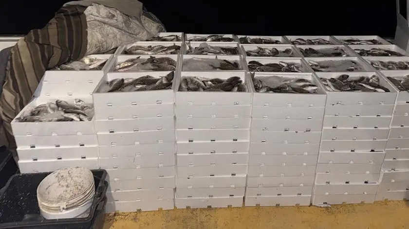 Casse di pesce sequestrato in una foto d'archivio
