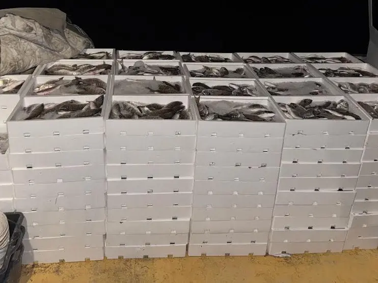 Casse di pesce sequestrato in una foto d'archivio
