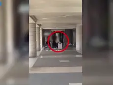 Uno dei porter abusivi al lavoro nel video diffuso dalla polizia