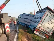 L'incidente avvenuto a Cavarzere in direzione San Pietro