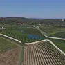 La vasta area di laminazione sullo scolo Rialto a Torreglia, Colli Euganei