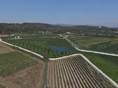La vasta area di laminazione sullo scolo Rialto a Torreglia, Colli Euganei