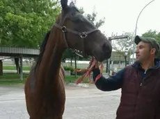 Stefano Pipesso con uno dei suoi cavalli