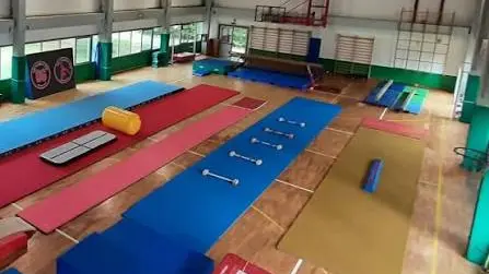 La palestra Fermi