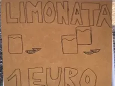Giovanni, a 9 anni, ha venduto limonate e devoluto il guadagno alla Lilt