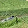 L'auto finita in acqua