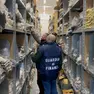Operazione della Guardia di Finanza