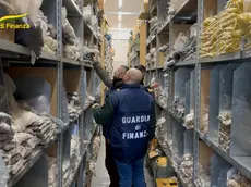 Operazione della Guardia di Finanza