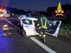 L'incidente sulla A13 costato la vita a un uomo di 50 anni