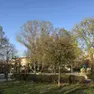 Parco Pertini,dove è caduto il ragazzo