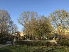 Parco Pertini,dove è caduto il ragazzo