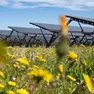 Un impianto agrivoltaico