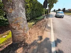 Il luogo della tragedia (Foto Pòrcile)